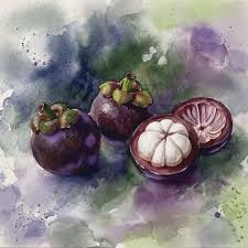 Mangosteen