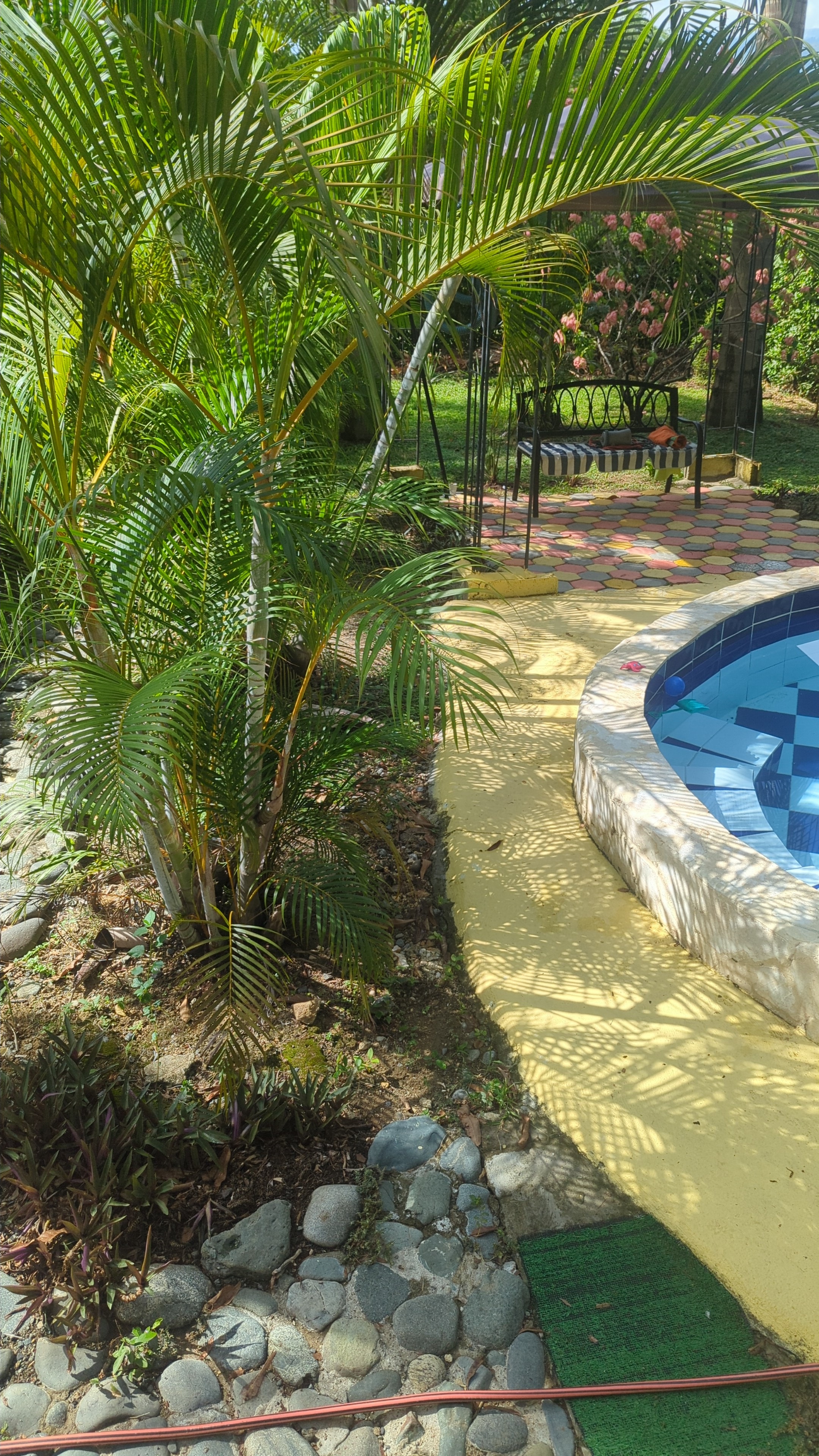 Completed pool with mosaic tiles
